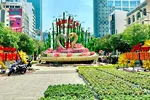 Đường hoa Nguyễn Huệ Tết Ất Tỵ dần lộ diện