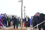 Tổng Bí thư Tô Lâm dự Lễ phát động Tết trồng cây Xuân Ất Tỵ tại Hưng Yên