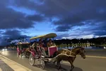 Vì sao Đà Lạt cấm xe ngựa, đạp vịt, du khách còn gì để chơi?