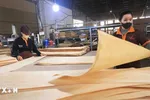 Mỹ áp thuế đối ứng 46% với Việt Nam, ngành gỗ sẽ ứng phó thế nào?