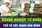 Doanh nghiệp tư nhân trở về bản năng 'dám nghĩ, dám làm'