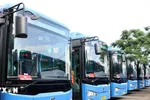 TPHCM có thêm 27 tuyến xe buýt điện từ tháng 8