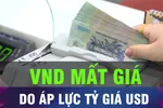 Áp lực tỷ giá, chấp nhận sự đánh đổi cho VND mất giá