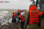 Các lực lượng tham gia gia cố đê biển để giảm thiểu thiệt hại. Ảnh: Quốc Hưng
