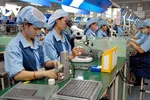 Xuất khẩu điện tử hướng đến mốc kim ngạch 145 tỷ USD