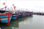 Tàu thuyền vào neo đậu an toàn tránh bão tại Khu neo đậu Phú Hải, huyện Phú Vang, Thừa Thiên - Huế. Ảnh tư liệu: Đỗ Trưởng/TTXVN