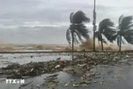 Các tỉnh ven biển Quảng Ninh đến Đắk Lắk bị ảnh hưởng bão Phượng Hoàng 