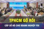 TPHCM ráo riết gỡ vướng cấp sổ đỏ cho doanh nghiệp FDI