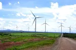 Vì sao nhiều dự án điện gió ở Tây Nguyên bị 'sa lầy'?
