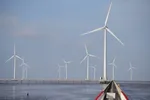 Chủ đầu tư các dự án điện gió mong Bộ Công Thương có hướng dẫn để có thể đàm phán về giá điện đầu vào 