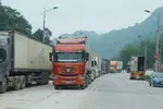 Thủ tướng yêu cầu không để tình trạng ùn ứ nông sản cửa khẩu phía Bắc