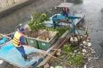 Thu gom rác trên kênh Tân Hóa - Lò Gốm, khu vực quận Tân Phú (ảnh chụp ngày 6-6)