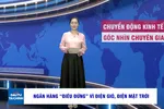 Góc nhìn chuyên gia: Nhà băng 'điêu đứng' vì năng lượng tái tạo