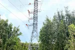 Điện lực Long An sang tải cấp điện cho vùng Đồng Tháp Mười