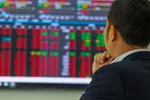 Chứng khoán khép lại năm 2024 trong ‘nhàm chán’