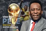 Vĩnh biệt Pele - ông vua của những nhà vua 