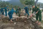 Đà Nẵng ra quân dọn rác trên đường ven biển Sơn Trà