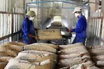 Doanh nghiệp xi măng đồng loạt tăng giá bán 30.000-40.000 đồng/tấn từ giữa tháng 4