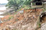 Bờ sông Lô sạt lở, Vĩnh Phúc công bố tình huống khẩn cấp