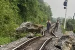 Đường sắt Bắc - Nam tê liệt vì sạt lở đá