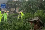 Bão số Bualoi thay đổi cấu trúc, nguy hiểm gia tăng khi vào đất liền
