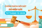 Những chính sách nổi bật, có hiệu lực từ tháng 12