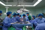 Ca hiến - ghép tạng đầu tiên ở ĐBSCL