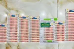 Một đại lý vé số ở Vĩnh Long bán 14 vé trúng độc đắc