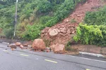 Đà Nẵng tạm dừng tham quan một số tuyến đường bán đảo Sơn Trà do sạt lở