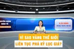 Góc nhìn chuyên gia: Vì sao vàng thế giới liên tục phá kỷ lục giá?