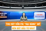 Góc nhìn chuyên gia: Thu hút vốn FDI 'đại bàng' Mỹ, nên bắt đầu từ đâu? 