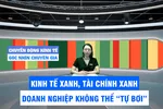 Góc nhìn chuyên gia: Kinh tế xanh, tài chính xanh, doanh nghiệp không thể 'tự bơi'