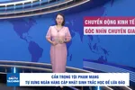 Góc nhìn chuyên gia: Tội phạm mạng tự xưng ngân hàng cập nhật sinh trắc học 