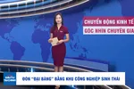 Góc nhìn chuyên gia: Chào đón 'đại bàng' bằng KCN sinh thái 