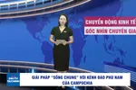Góc nhìn chuyên gia: Giải pháp 'sống chung' với kênh đào Phù Nam 