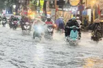 TPHCM: Nhiều tuyến đường ngập nặng sau cơn mưa lớn
