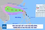 Bão Yagi giật cấp 16 vào biển Đông, hướng bão đi vào vịnh Bắc bộ 