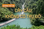 KHÔNG THỂ TIN: Thi nhảy sào vượt kênh đào