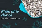 Nhộn nhịp chợ cá đặc sản mùa nước lũ