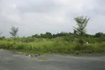 Một khu đất tại Nhà Bè chưa d khai thác sử dụng