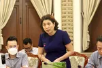 Giám đốc Sở Kế hoạch- Đầu tư TP.HCM Lê Thị Huỳnh Mai.