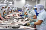 Tạm dừng xuất khẩu cá tra đi Nga 