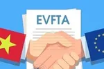 4/10 doanh nghiệp Việt Nam đã từng hưởng lợi từ EVFTA 