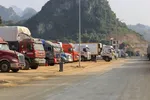 Bộ Công Thương vào cuộc 'giải cứu' nông sản ùn tắc cửa khẩu phía Bắc