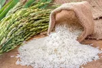 Nâng cao giá trị thương hiệu gạo Việt Nam/VietNam rice