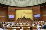 Phiên thảo luận sáng 12-8. Ảnh: VIẾT CHUNG