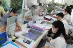 TPHCM: Thực hiện nghiêm việc tạm dừng tuyển công chức cấp xã