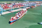 CMIT đón tàu Maersk Cap Jackson, chuyến tàu đầu tiên thuộc tuyến dịch vụ mùa vụ độc lập TPX kết nối trực tiếp Việt Nam - Hàn Quốc - Bờ Tây Hoa Kỳ