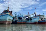 TPHCM nghiên cứu 'thẻ vàng, thẻ đỏ' để quản lý tàu cá vi phạm IUU