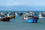 Đội tàu cá của ngư dân Bà Rịa- Vũng Tàu